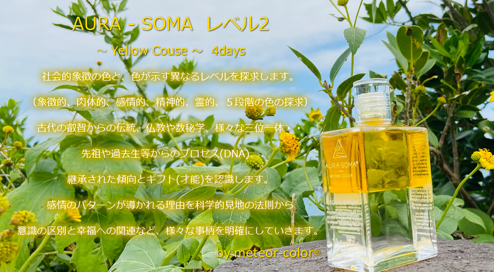AURA-SOMA レベル2