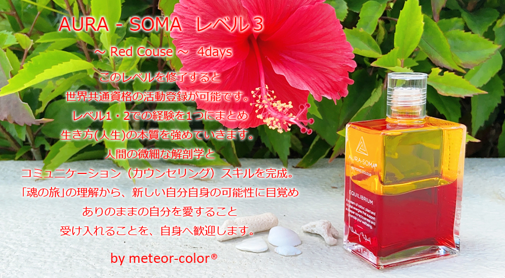 AURA-SOMA レベル3