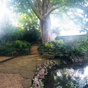 英国本校デヴォーラ・ヴィッキーの木2019