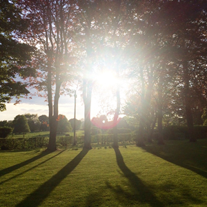 英国本校デヴォーラの庭〜ヴィッキーの光