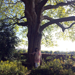 英国本校デヴォーラ・ヴィッキーの木2017