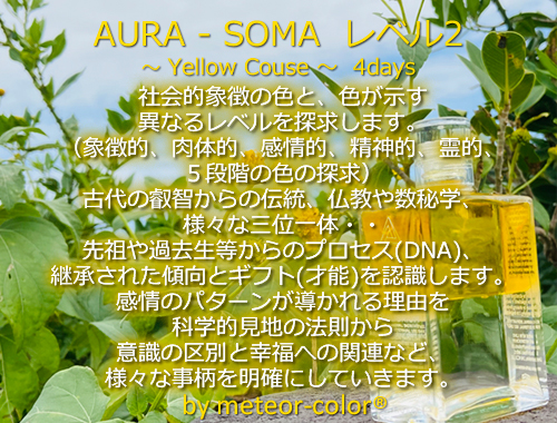 AURA-SOMA レベル2