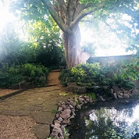 英国本校デヴォーラ・ヴィッキーの木2019